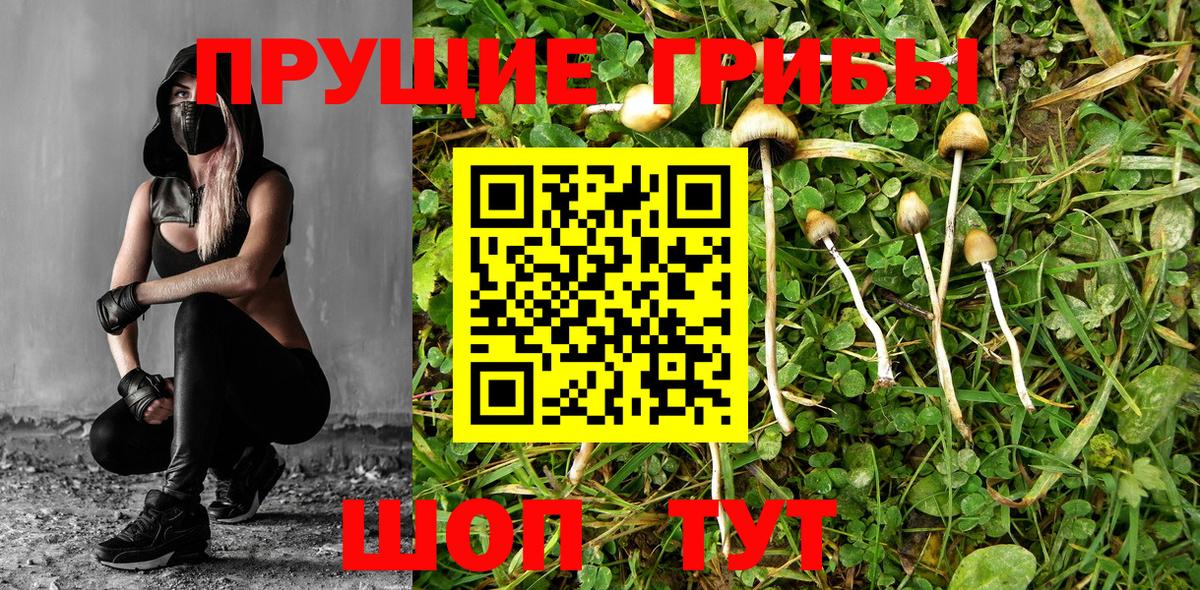 Галлюциногенные грибы ЛСД Кыштым