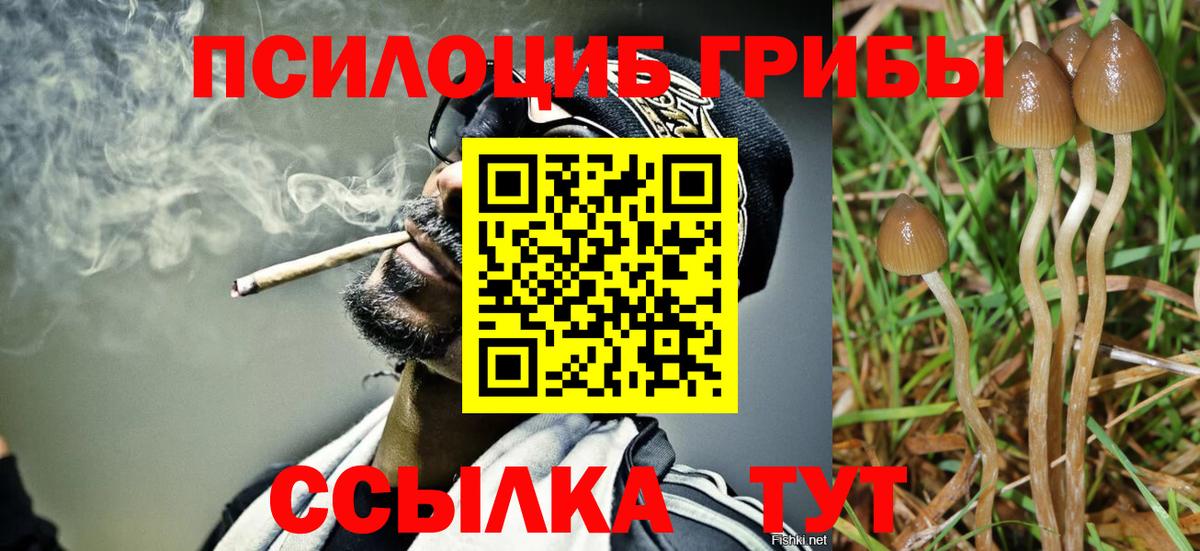 Кыштым  что такое   Вход с VPN  Псилоцибиновые грибы Cubensis 